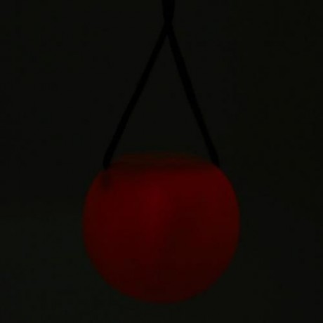 YOUOKLIGHT YK0430 FASHION LED POI  THROWN BALL FOR PROFESSIONAL BELLY DANCE LEVEL HAND PRO