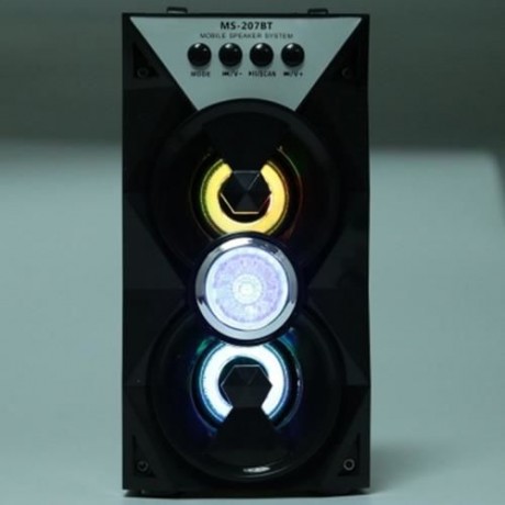 REDMAINE MS - 207BT PORTABLE HIGH POWER OUTPUT FM RADIO WIRELESS BLUETOOTH SPEAKER (BLACK)