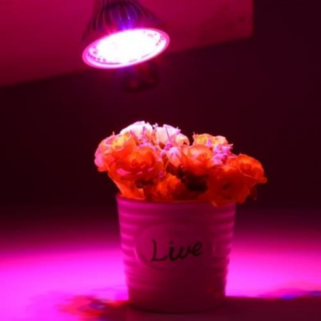 E27 12W AC 85 - 265V LED MINI GROW LIGHT WITH 12 LEDS (SILVER)