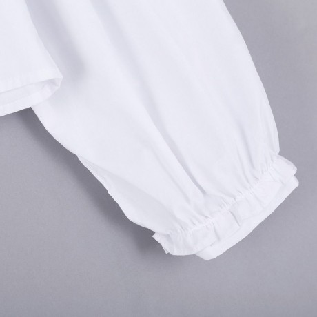 TRENDY LANTERN SLEEVE STAND COLLAR EMBROIDERY WOMEN SHIRT