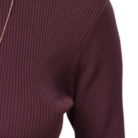 SIMPLE STYLE TURTLENECK PURE COLOR CROP TOP FOR WOMEN (WINE RED)