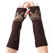 CUTE RABBIT DECORATION OPEN FINGER LADIES WARM KNITTING LONG GLOVES (COFFEE)
