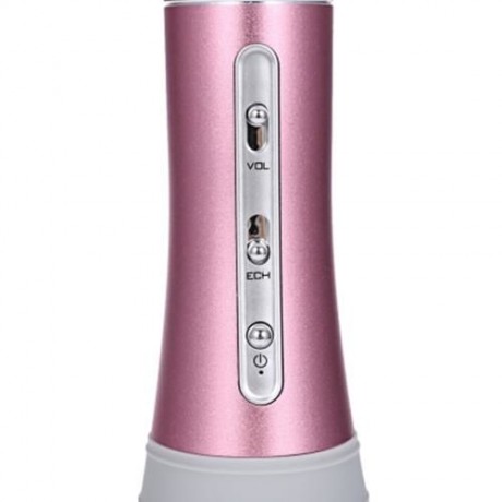 TRANGU K8 MULTIFUNCTION PORTABLE BLUETOOTH 4.1 WIRELESS SPEAKER MONO HANDHELD MICROPHONE C