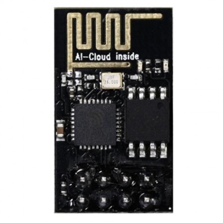 ESP-01 ESP8266 2.4GHZ WIFI MODULE FOR ARDUINO (BLACK)