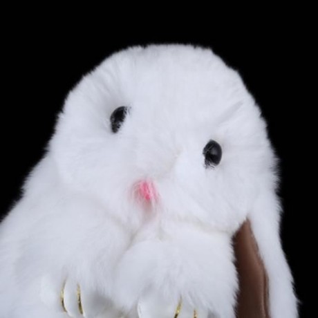 STYLISH LONG EAR DESIGN KEY RING RABBIT CAR PENDANT ACCESSORY (WHITE)