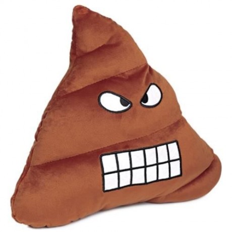 CUTE POOP EXPRESSION GRINNING EMOTICON PILLOW STUFFED PLUSH TOY HOME DECORATION CHRISTMAS 