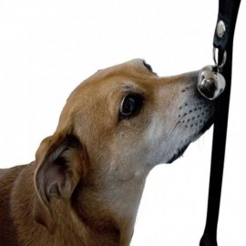 ADJUSTABLE PUPPY DOG BELL ROPE HOUSE TRAINING DOORBELL (BLACK)