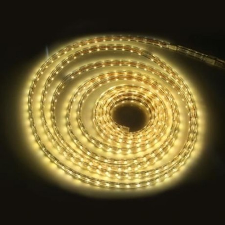 AC 220V 1000LM 5M 300 LEDS STRIP LIGHT WATERPROOF LAMP (WARM WHITE LIGHT)