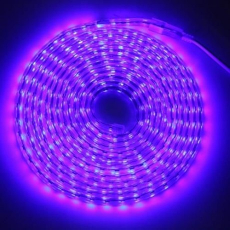 AC 220V 1000LM 5M 300 LEDS STRIP LIGHT WATERPROOF LAMP (BLUE)