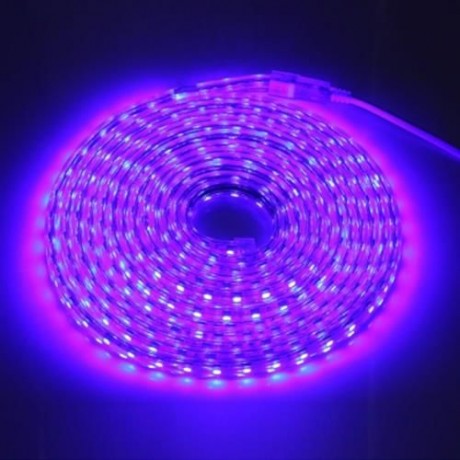 AC 220V 1000LM 5M 300 LEDS STRIP LIGHT WATERPROOF LAMP (BLUE)