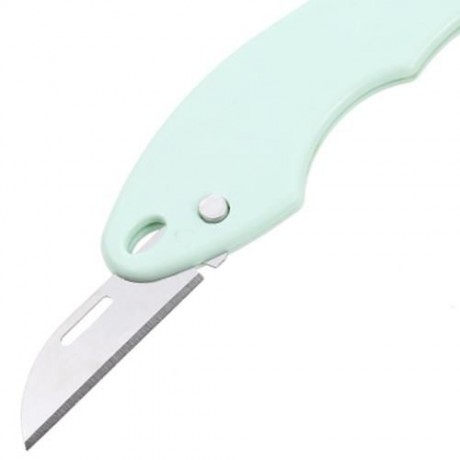 MULTIFUNCTIONAL STAINLESS STEEL FISH SCALE SCRAPER CLEANER (CRYSTAL GREEN)