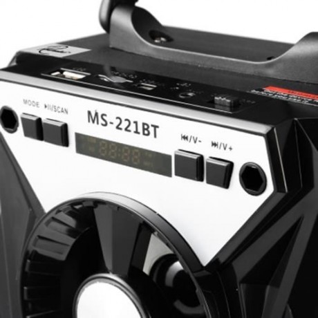 REDMAINE MS - 221BT PORTABLE BLUETOOTH SPEAKER FM RADIO AUX (BLACK)