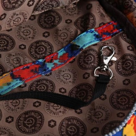 JINQIAOER CASUAL CONVERTIBLE CANVAS BACKPACK FOR WOMEN (COLORFUL)