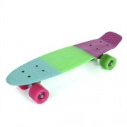 22 INCH COLORFUL FOUR-WHEEL STREET LONG PLASTIC FISH SKATEBOARD (COLORMIX)