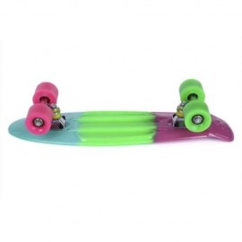 22 INCH COLORFUL FOUR-WHEEL STREET LONG PLASTIC FISH SKATEBOARD (COLORMIX)