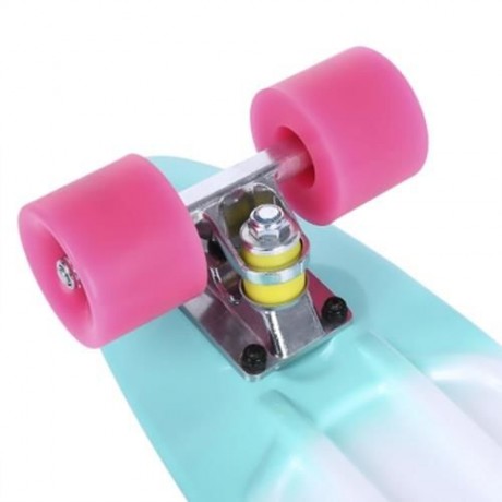 22 INCH COLORFUL FOUR-WHEEL STREET LONG PLASTIC FISH SKATEBOARD (COLORMIX)