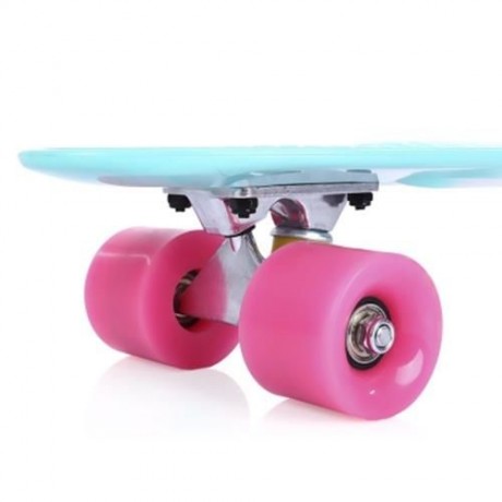 22 INCH COLORFUL FOUR-WHEEL STREET LONG PLASTIC FISH SKATEBOARD (COLORMIX)