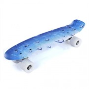 22 INCH DOLPHIN PATTERN FOUR-WHEEL STREET LONG PLASTIC FISH SKATEBOARD (BLUE)