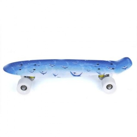 22 INCH DOLPHIN PATTERN FOUR-WHEEL STREET LONG PLASTIC FISH SKATEBOARD (BLUE)
