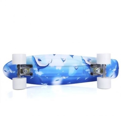 22 INCH DOLPHIN PATTERN FOUR-WHEEL STREET LONG PLASTIC FISH SKATEBOARD (BLUE)