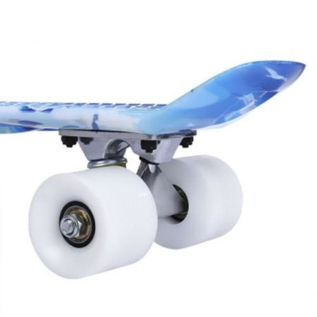 22 INCH DOLPHIN PATTERN FOUR-WHEEL STREET LONG PLASTIC FISH SKATEBOARD (BLUE)