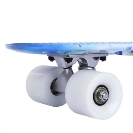 22 INCH DOLPHIN PATTERN FOUR-WHEEL STREET LONG PLASTIC FISH SKATEBOARD (BLUE)