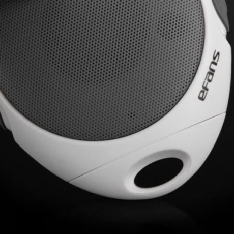 EFANS E400 BLUETOOTH V2.1 EDR WIRELESS SPEAKER TF CARD SUPPORT (GRAY)