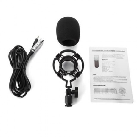 LEIHAO PROFESSIONAL CONDENSER MICROPHONE (WHITE)