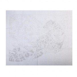 SNOW LEOPARD DIY DIGITAL OIL HAND PAINTING WALL DECOR (COLORMIX)