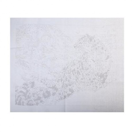 SNOW LEOPARD DIY DIGITAL OIL HAND PAINTING WALL DECOR (COLORMIX)