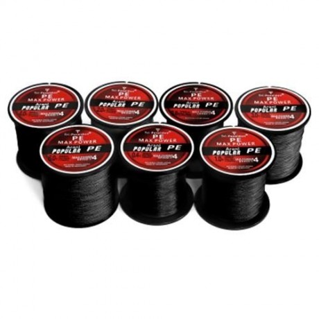 TRIPOSEIDON 300M SUPER STRONG PE BRAIDED FISHING LINE (BLACK)