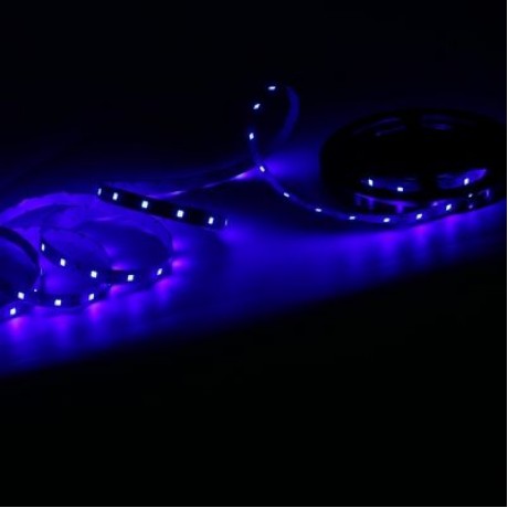 WEIGU LIGHTING 12V 3528 SMD LED Strip for Decoration (BLUE)