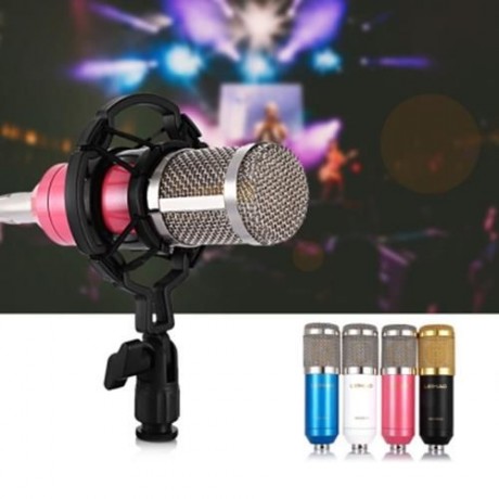LEIHAO BM - 800 PROFESSIONAL CONDENSER MICROPHONE (WHITE)