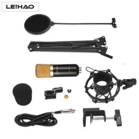 LEIHAO BM - 700 PROFESSIONAL CONDENSER MICROPHONE (BLACK)