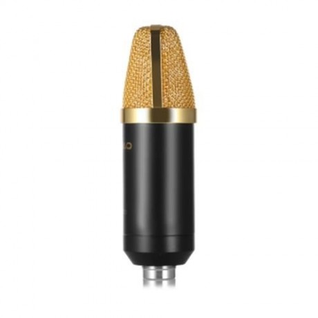 LEIHAO BM - 700 PROFESSIONAL CONDENSER MICROPHONE (BLACK)