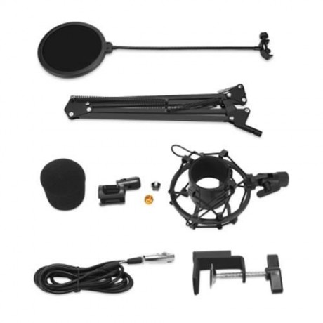 LEIHAO BM - 700 PROFESSIONAL CONDENSER MICROPHONE (BLACK)