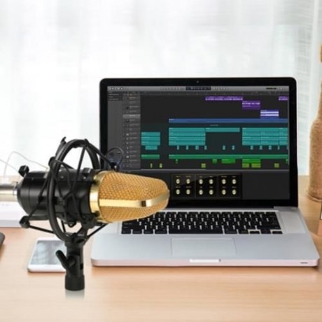 LEIHAO BM - 700 PROFESSIONAL CONDENSER MICROPHONE (BLACK)