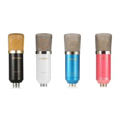 LEIHAO BM - 700 PROFESSIONAL CONDENSER MICROPHONE (BLACK)