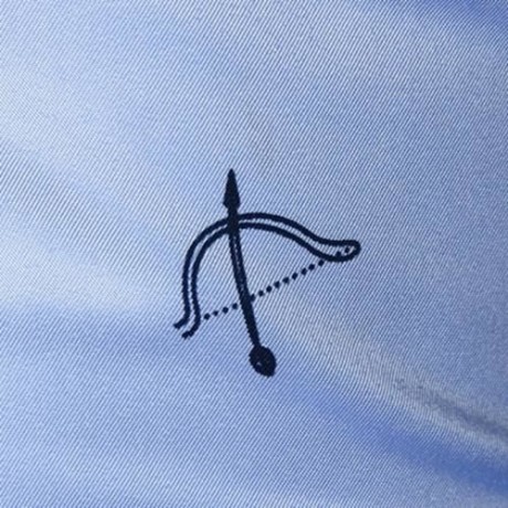 ARROW PRINTED BUTTON LONG SLEEVE SHIRT (BLUE)