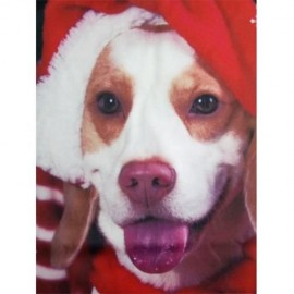 HOODED CHRISTMAS DOG 3D PRINT PULLOVER HOODIE (COLORMIX)