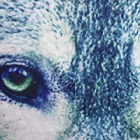 3D WOLF PRINT PULLOVER HOODIE (COLORMIX)