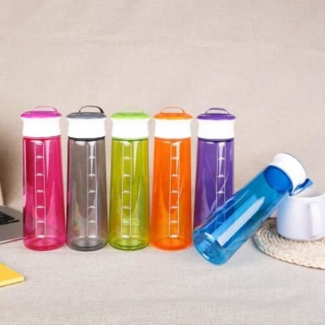 GRIZZLY ES8110 700ML PORTABLE TRANSPARENT WATER BOTTLE (GREEN)