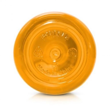 GRIZZLY ES8110 700ML PORTABLE TRANSPARENT WATER BOTTLE (ORANGE)