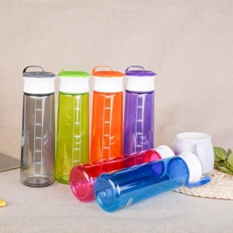 GRIZZLY ES8110 700ML PORTABLE TRANSPARENT WATER BOTTLE (PURPLE)