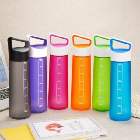 GRIZZLY ES8102A - CX 700ML FROSTED PLASTIC WATER BOTTLE (BLUE)