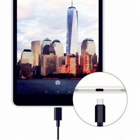TOCHIC Type-C Data Quick Charging Cable - 2M (BLACK)