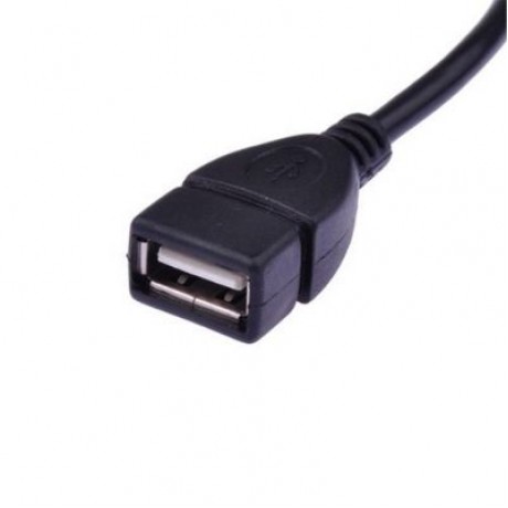 High Quality USB A Female to Mini USB B 5 Pin Male Adapter Cable (BLACK)