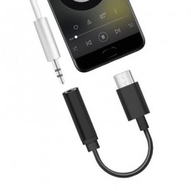 Type-C 3.1 Male Port to 3.5 mm Female Stereo Audio Headphone Aux Connector (BLACK)