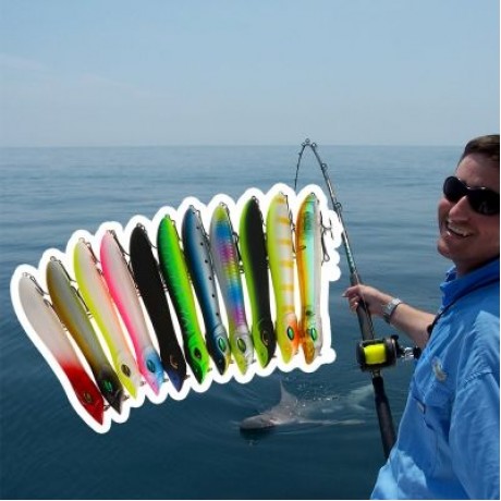 A FISH LURE Artificial Fishing Lure Hard Bait (RED)