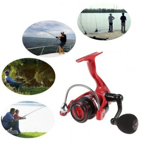 Lizard AST Series 13   1BB Spinning Fishing Reel (RED)